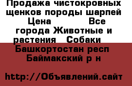 Продажа чистокровных щенков породы шарпей › Цена ­ 8 000 - Все города Животные и растения » Собаки   . Башкортостан респ.,Баймакский р-н